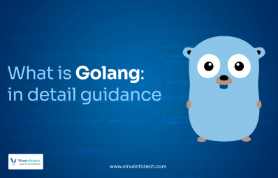 What is Golang: in detail guidance